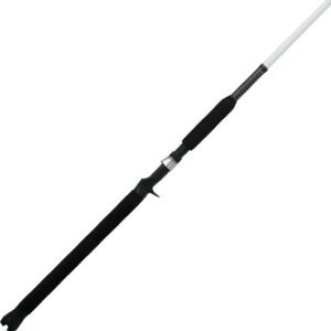 Dedicated Spinning Rod for Catfish